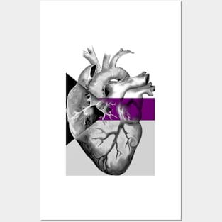 Demisexual Pride Anatomic Heart Posters and Art